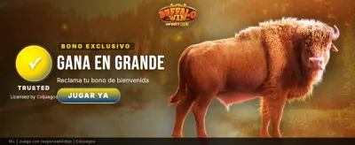Experiencia de juego segura